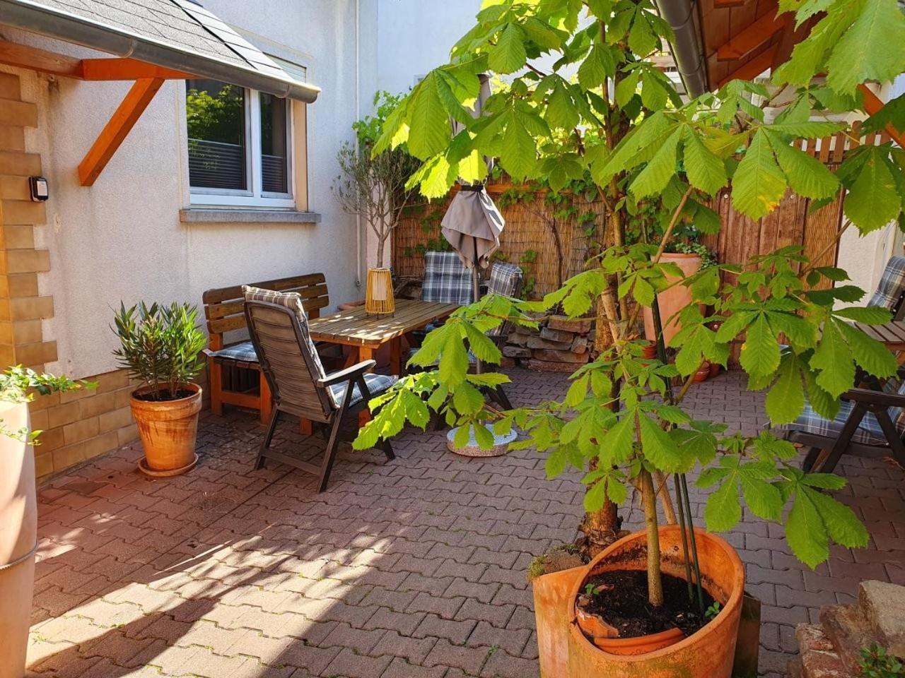 فيلا Haus Zwanzig Weisel المظهر الخارجي الصورة